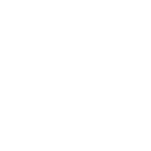 Warranty on Selected Repairs